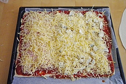 Italienischer Pizzateig 235