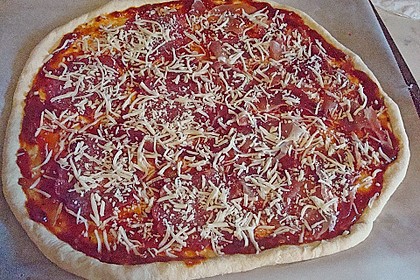 Italienischer Pizzateig 217