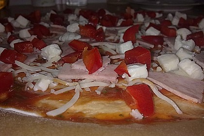 Italienischer Pizzateig 298