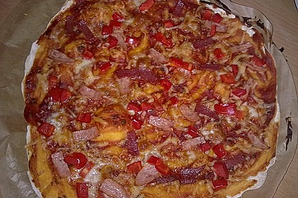 Italienischer Pizzateig 301