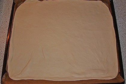 Italienischer Pizzateig 293