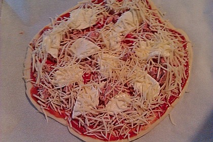 Italienischer Pizzateig 280