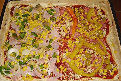 Italienischer Pizzateig 149