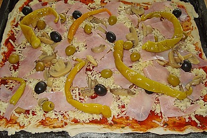 Italienischer Pizzateig 125