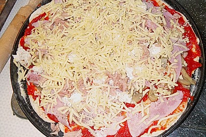 Italienischer Pizzateig 309