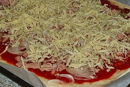 Italienischer Pizzateig 323