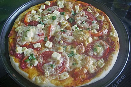 Italienischer Pizzateig 206