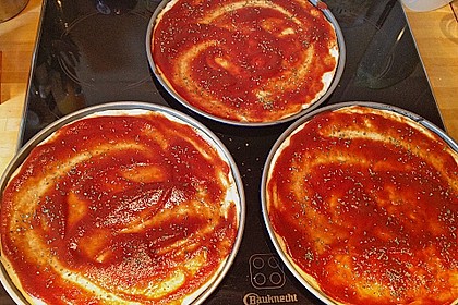 Italienischer Pizzateig 213