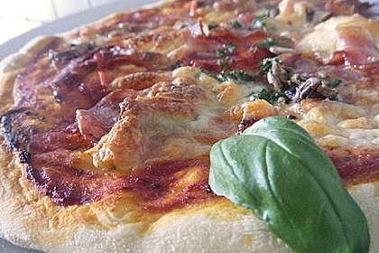 Italienischer Pizzateig 143