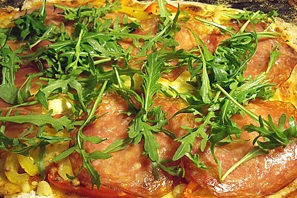 Italienischer Pizzateig 185