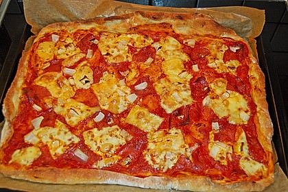 Italienischer Pizzateig 173