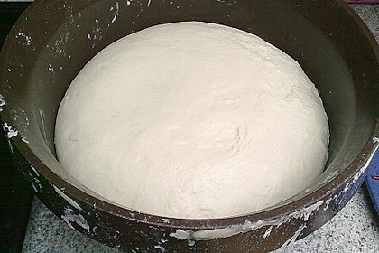 Italienischer Pizzateig 204