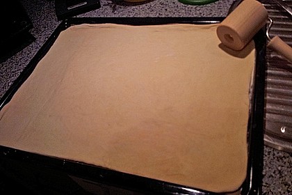 Italienischer Pizzateig 319