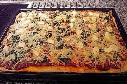 Italienischer Pizzateig 242