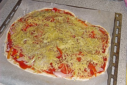 Italienischer Pizzateig 230