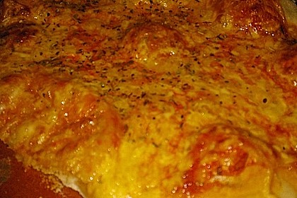 Italienischer Pizzateig 214