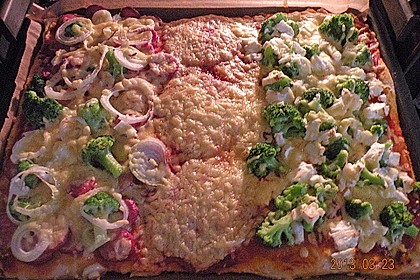 Italienischer Pizzateig 297