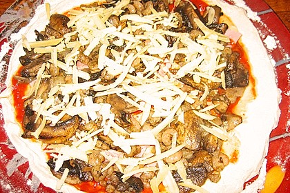 Italienischer Pizzateig 300