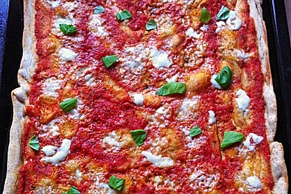 Italienischer Pizzateig 207