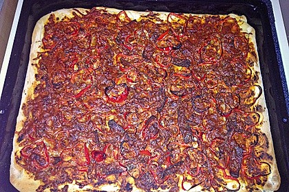 Italienischer Pizzateig 336