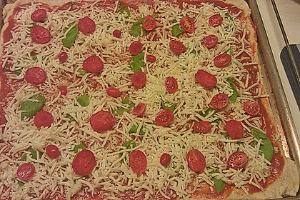 Italienischer Pizzateig 233