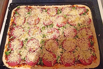 Italienischer Pizzateig 224