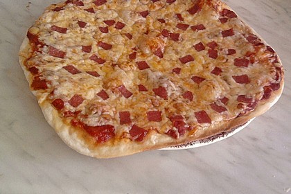 Italienischer Pizzateig 281