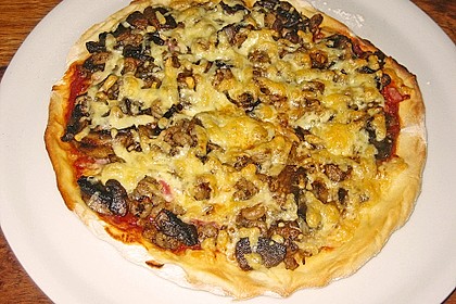Italienischer Pizzateig 253