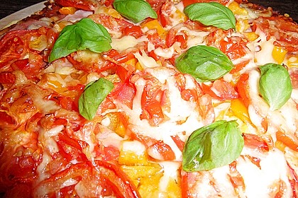 Italienischer Pizzateig 102