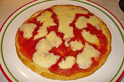 Italienischer Pizzateig 271