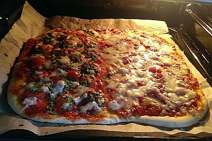 Italienischer Pizzateig 191