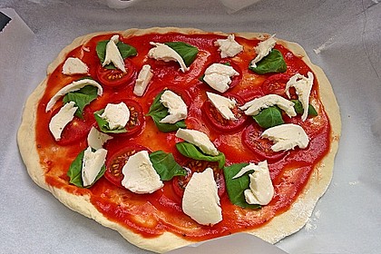 Italienischer Pizzateig 66