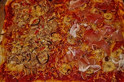 Italienischer Pizzateig 194