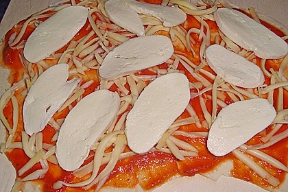 Italienischer Pizzateig 311