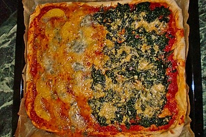 Italienischer Pizzateig 272
