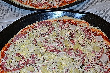 Italienischer Pizzateig 153