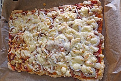 Italienischer Pizzateig 287