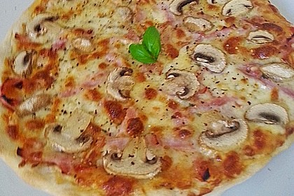 Italienischer Pizzateig 69