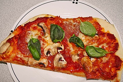 Italienischer Pizzateig 58