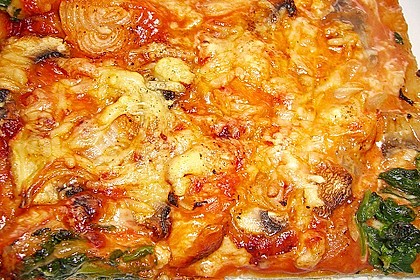 Italienischer Pizzateig 167