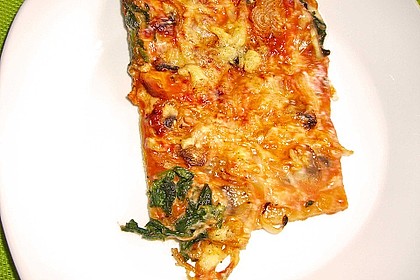 Italienischer Pizzateig 219