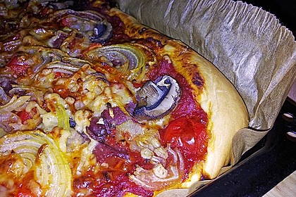 Italienischer Pizzateig 238