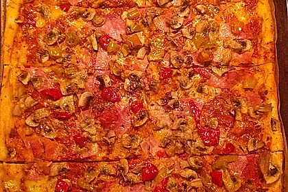 Italienischer Pizzateig 192