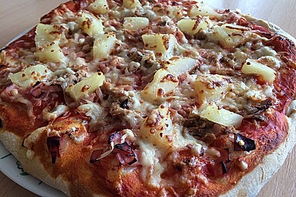 Italienischer Pizzateig 273