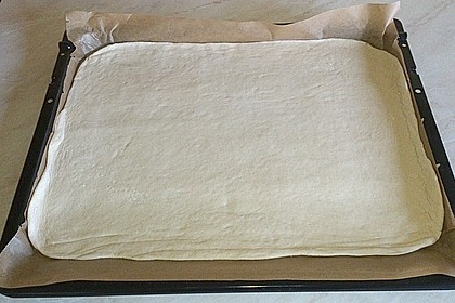 Italienischer Pizzateig 171