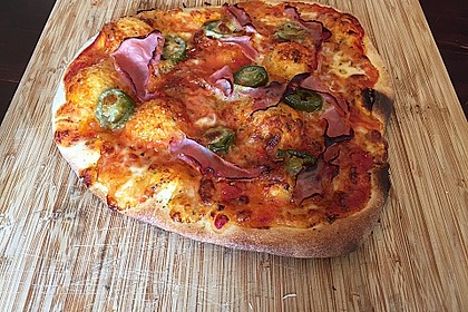 Italienischer Pizzateig 195
