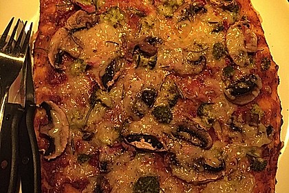 Italienischer Pizzateig 151