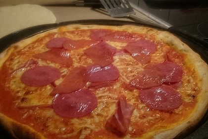 Italienischer Pizzateig 333