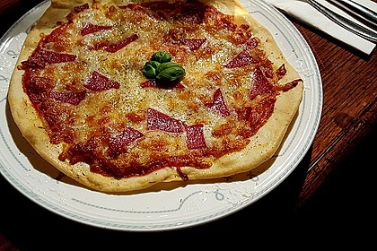 Italienischer Pizzateig 12