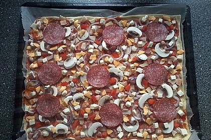 Italienischer Pizzateig 222